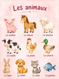 Les animaux scratch - fond rose